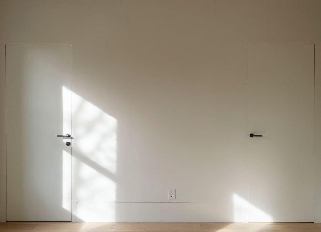 Insensation Frameless Door