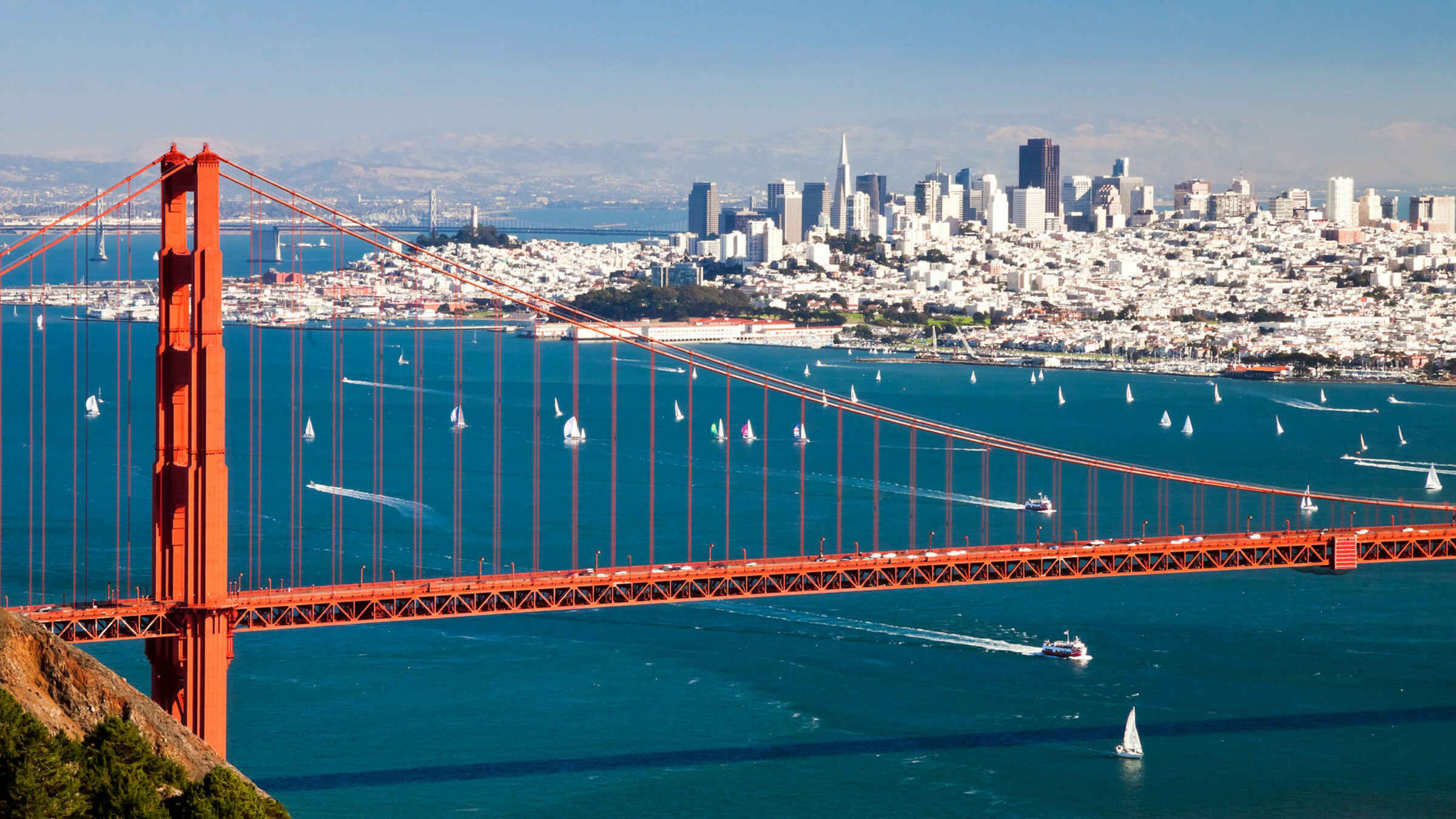 SAN FRANCISCO BAY AREA
